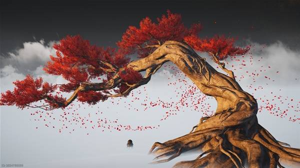 燕云十六声天下纂要答案大全