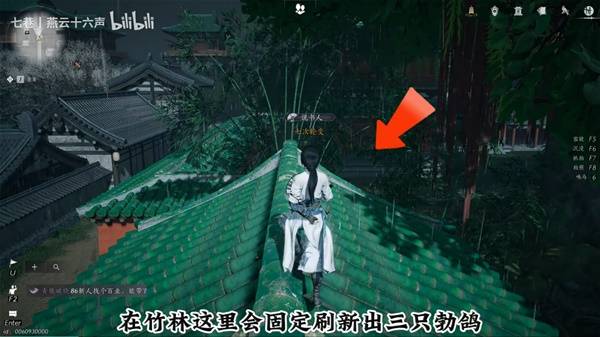 燕云十六声柳叶羽速刷法