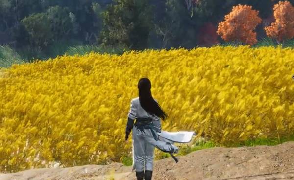 燕云十六声麦穗在哪刷