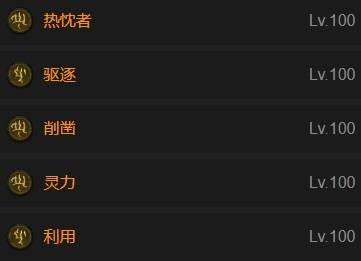 暗黑4S11狂热者长枪圣骑士BD推荐
