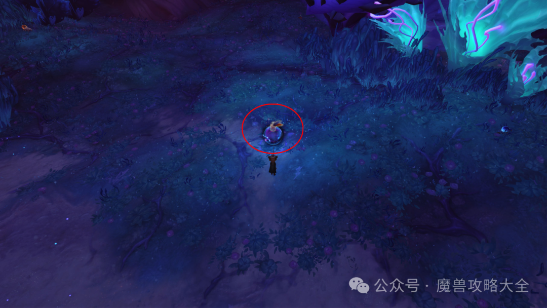 魔兽世界失落的虚空幼龙怎么获得