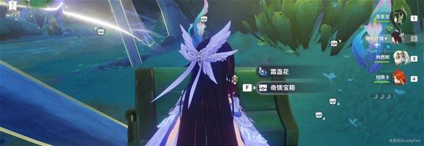 原神6.3奇馈宝箱收集攻略