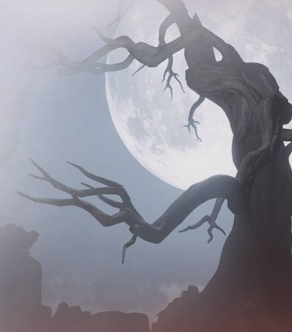 燕云十六声浴血难度白狼主怎么打