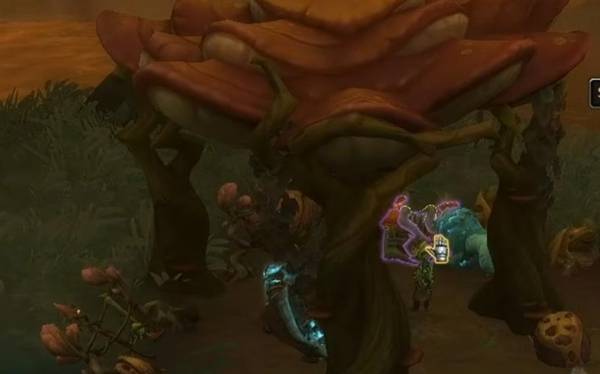 魔兽世界尚未感染的林地爬行者坐骑怎么获得